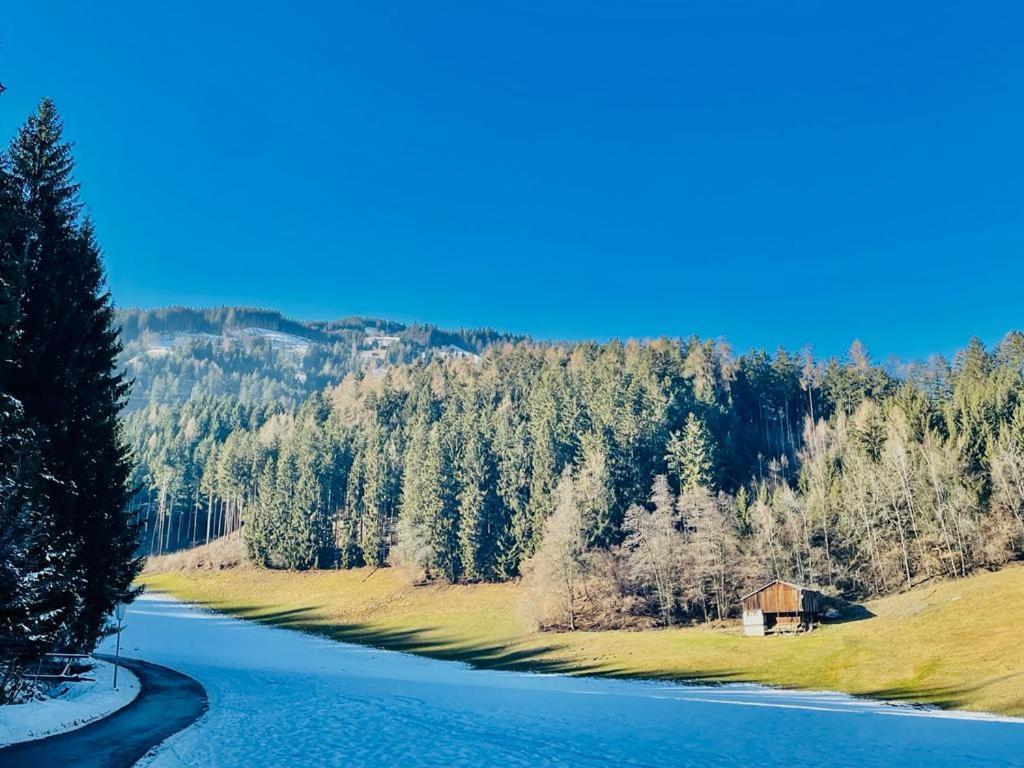 Royal Swan Appartement, Tirol 菲根 外观 照片